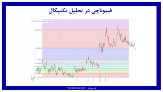 آشنایی با تعریف و تاریخچه فیبوناچی